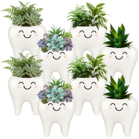 FoldTier tooth-shaped ceramic planter for succulents on desks and shelves.