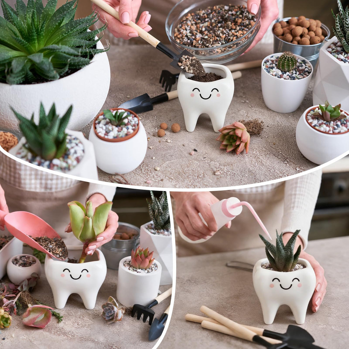 Gift-worthy FoldTier tooth-shaped planters ideal for dental assistants and hygienists.