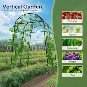 FOLLOOK vine arbor accommodates grapes and pole beans with wide netting
