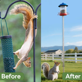 Foneso black finish blends with garden poles while protecting feeders.