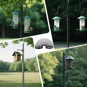 Foneso guard keeps birds feeding undisturbed by curious climbers.