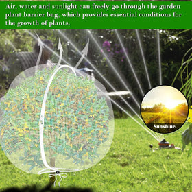 FONUNO application for flowers, vegetables, and trees in indoor or outdoor settings.