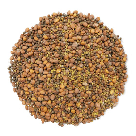 Food to Live organic sprouting seeds package ready for kitchen prep