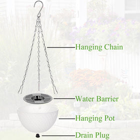 Foraineam 6-inch diameter planter shown in vibrant color options