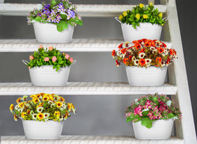Foraineam oval planters with two handles for versatile indoor/outdoor use.
