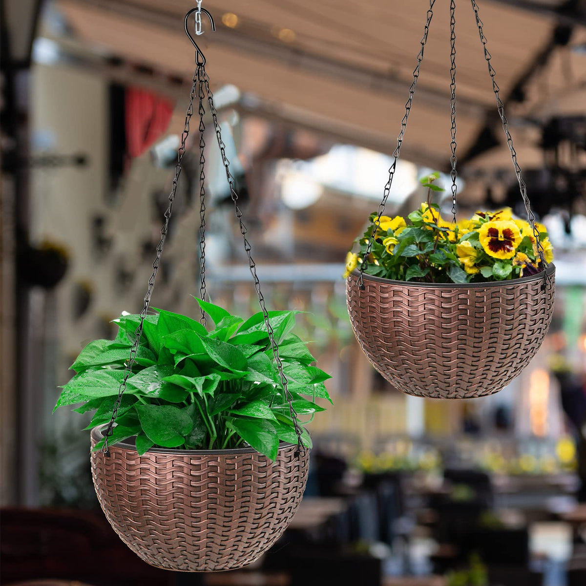 Foraineam self-watering-reservoir helps maintain appropriate moisture for thriving plants.