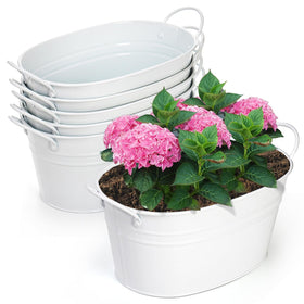 Foraineam suitable for small plants, succulents, and cacti on shelves.