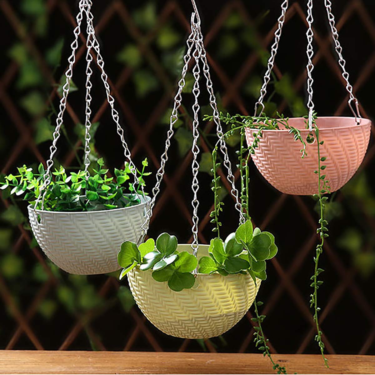 Foraineam ideal for succulents, cacti, and small flowering plants
