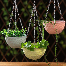 Foraineam ideal for succulents, cacti, and small flowering plants