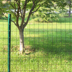 FOREHOGAR 2x3 inch mesh welded wire fence protects beds from deer and rabbits.