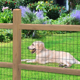 FOREHOGAR black fence provides plant protection and boundary definition.
