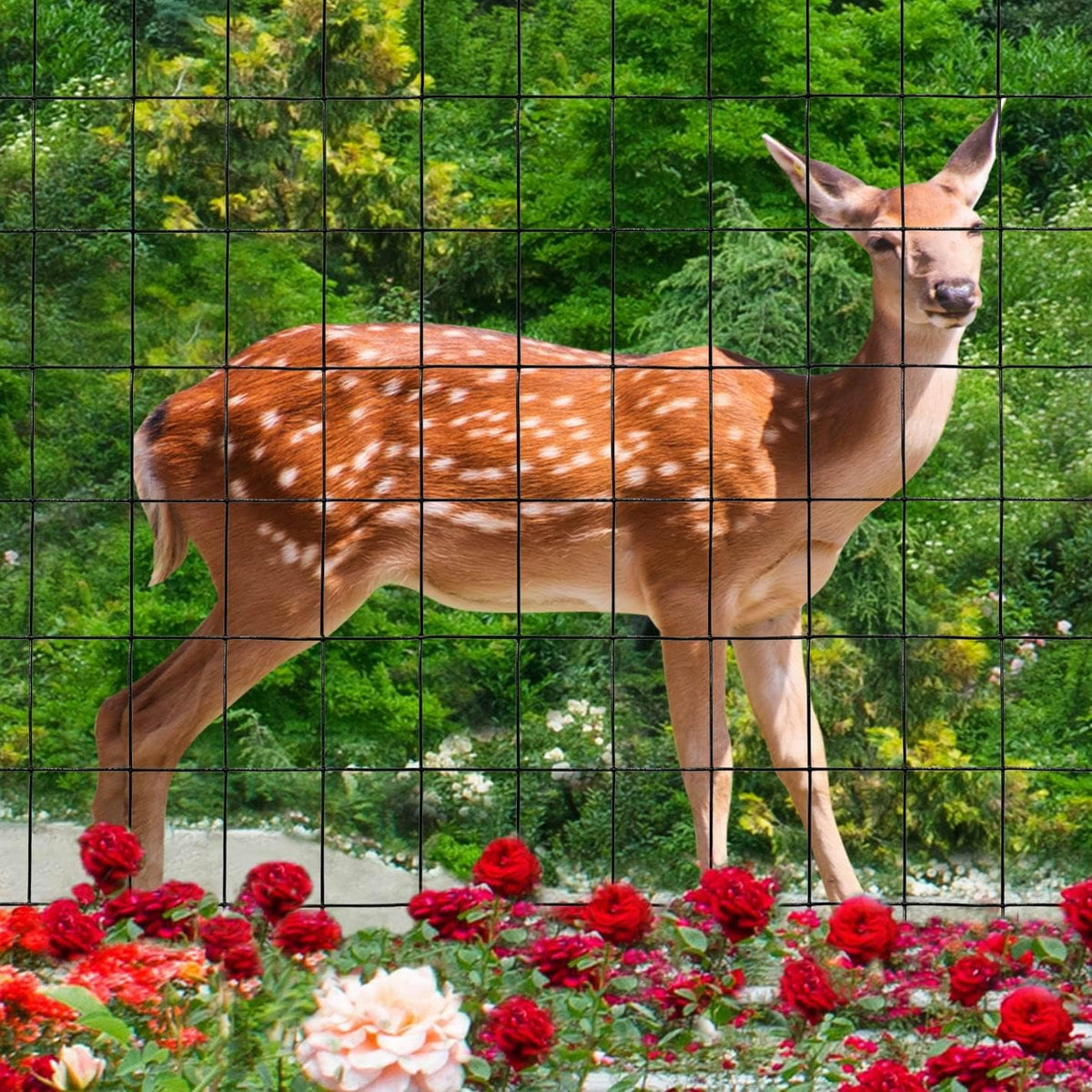 FOREHOGAR black fence supports vegetable and flower beds against wildlife while blending with landscaping.