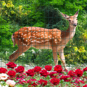 FOREHOGAR DIY garden fence project enables quick, customizable solutions