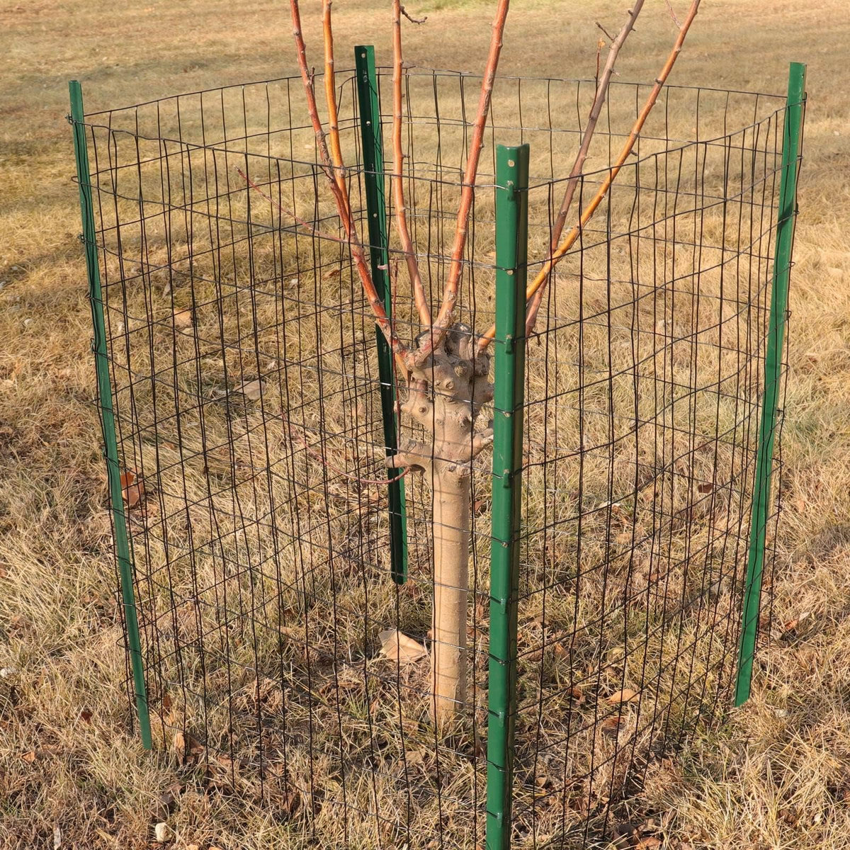 FOREHOGAR durable vinyl-coated steel fence creates temporary fencing for DIY projects.