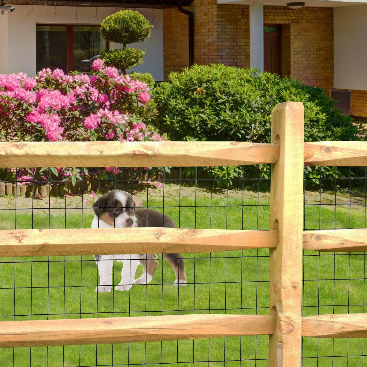 FOREHOGAR fence doubles as pet enclosure and chicken wire for small animals.