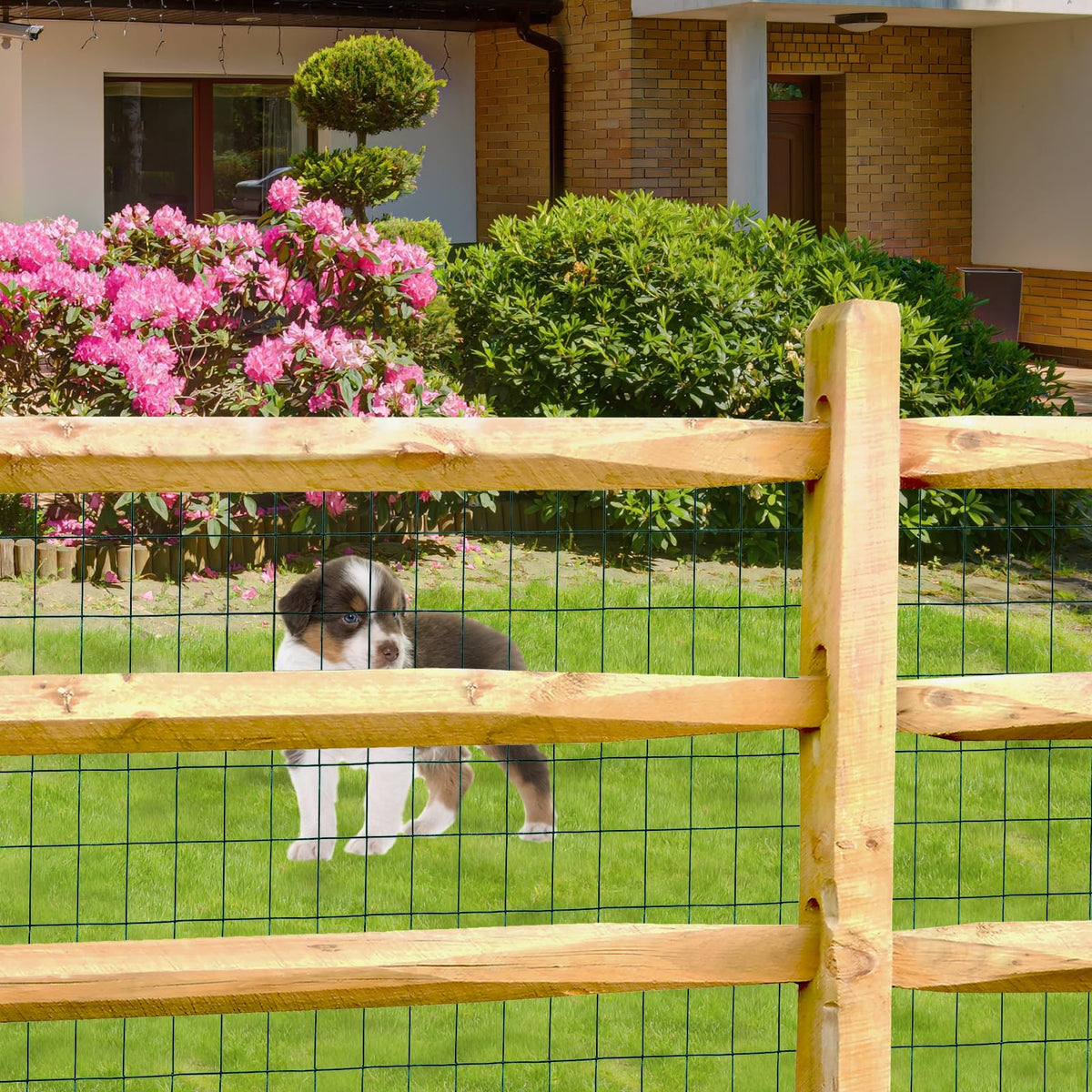 FOREHOGAR vinyl-coated fence enables quick pet enclosures.