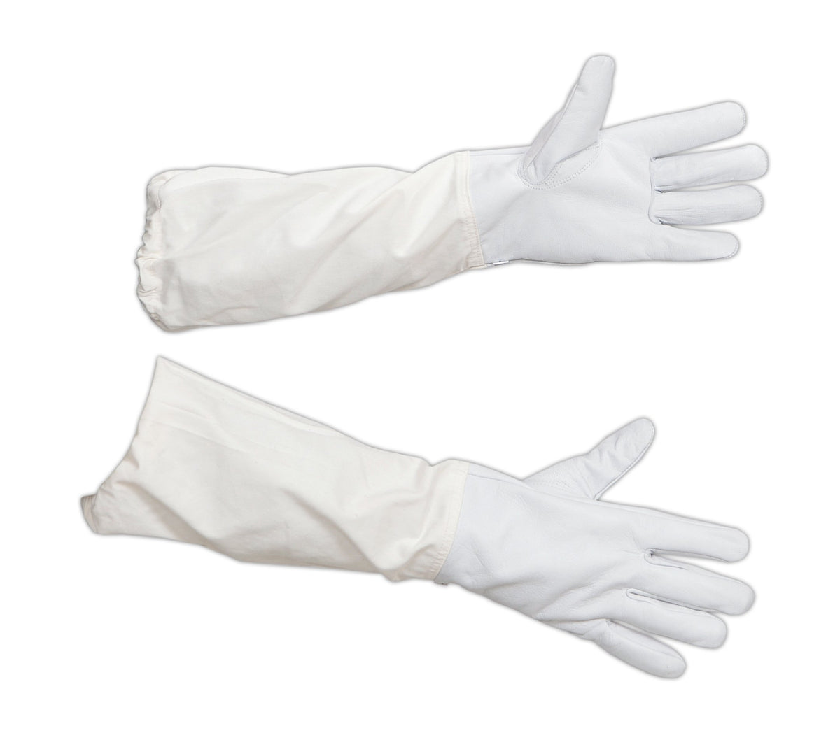 FOREST BEEKEEPING SUPPLY hive maintenance scenario with gloves