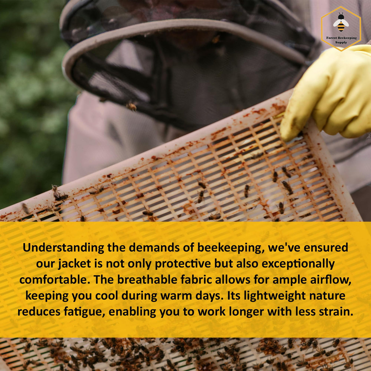 FOREST BEEKEEPING SUPPLY removable hood adapts to different hive tasks