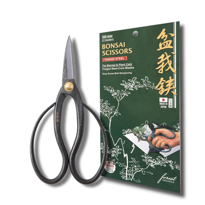 Forest Originals SenkichiKin bonsai scissors 7in ready for precise trimming