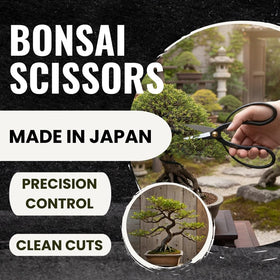 Forest Originals SenkichiKin removable blade feature shown for easy sharpening