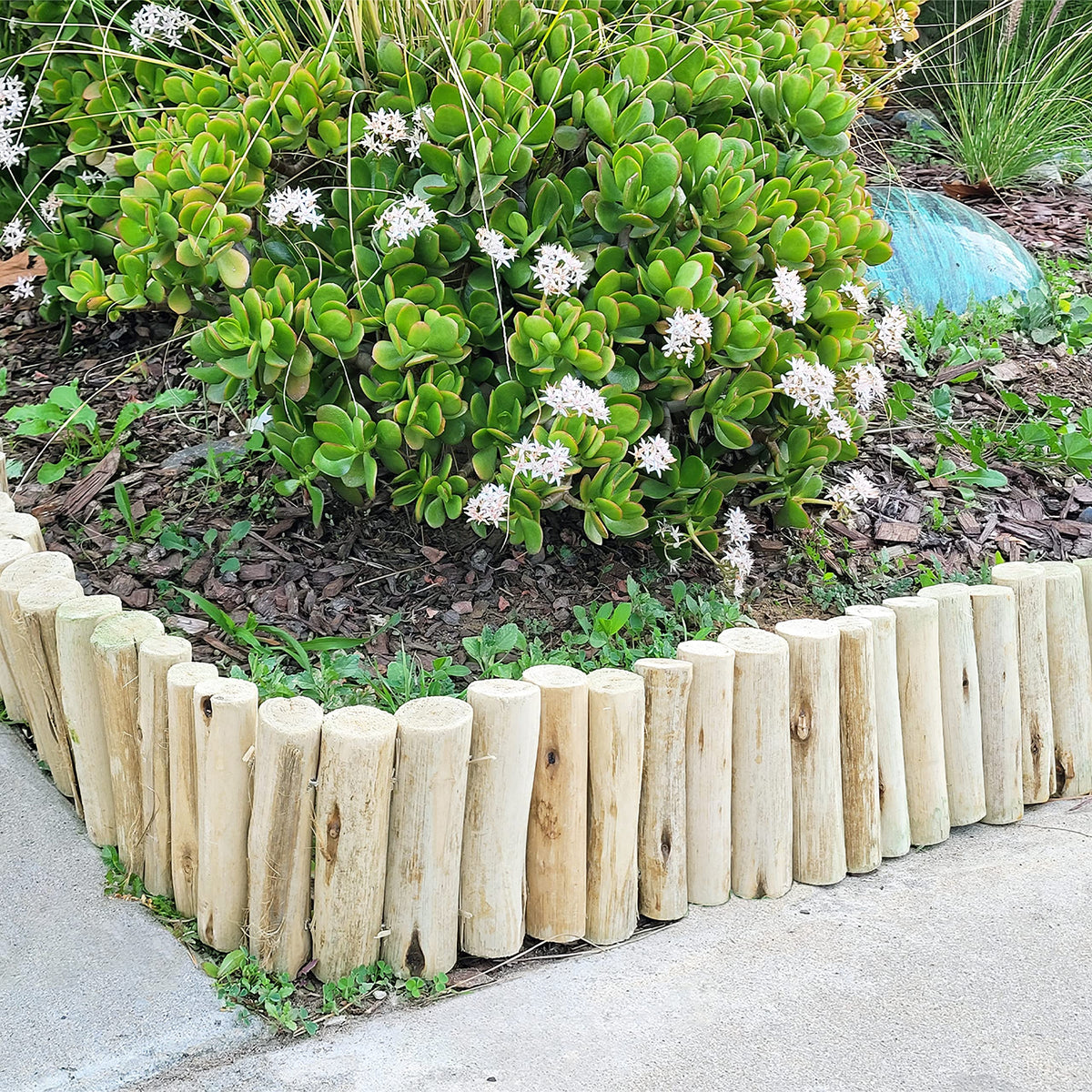 FOREVER BAMBOO edging along curved path for clean definition.