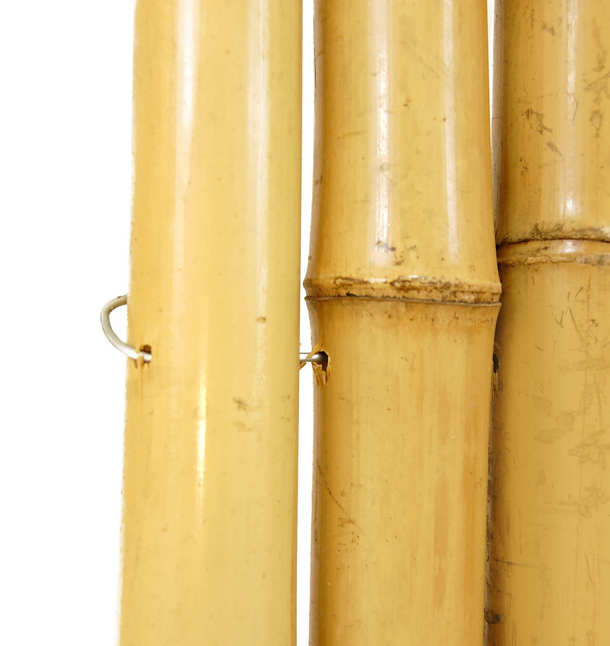 Forever Bamboo four foot eight foot panel for versatile fencing.