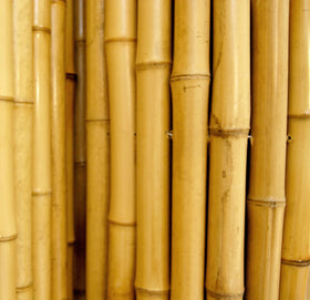 Forever Bamboo privacy bamboo panel outdoors adds rustic charm and seclusion.