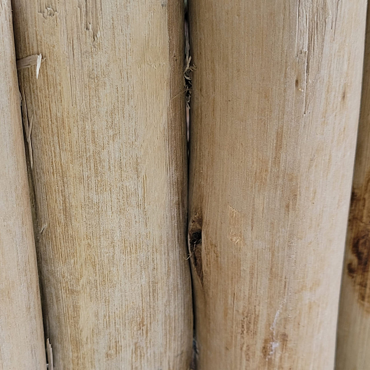 FOREVER BAMBOO sturdy log border illustrating no-dig installation.