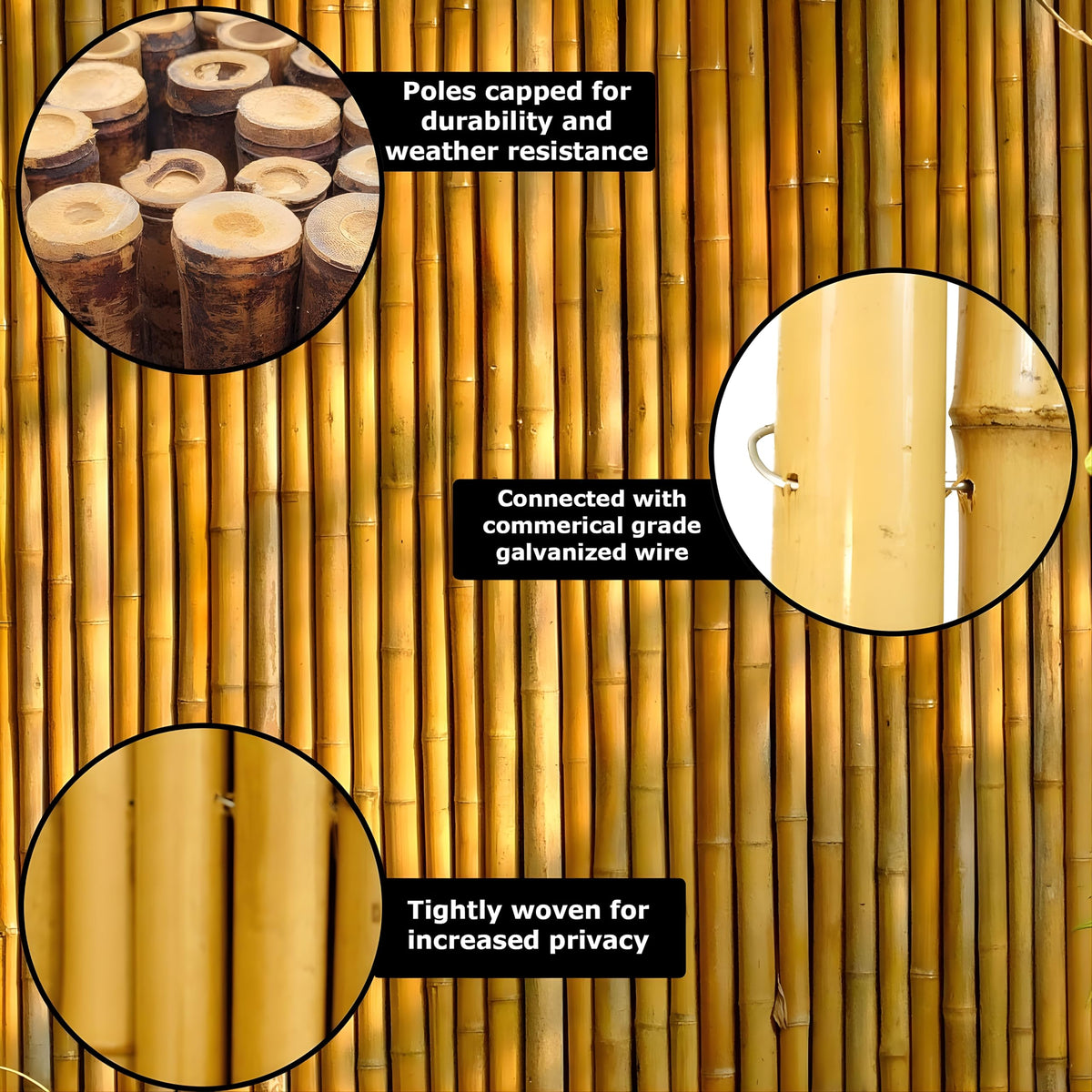 Forever Bamboo sustainable renewable material for eco friendly projects.