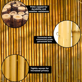Forever Bamboo sustainable renewable material for eco friendly projects.