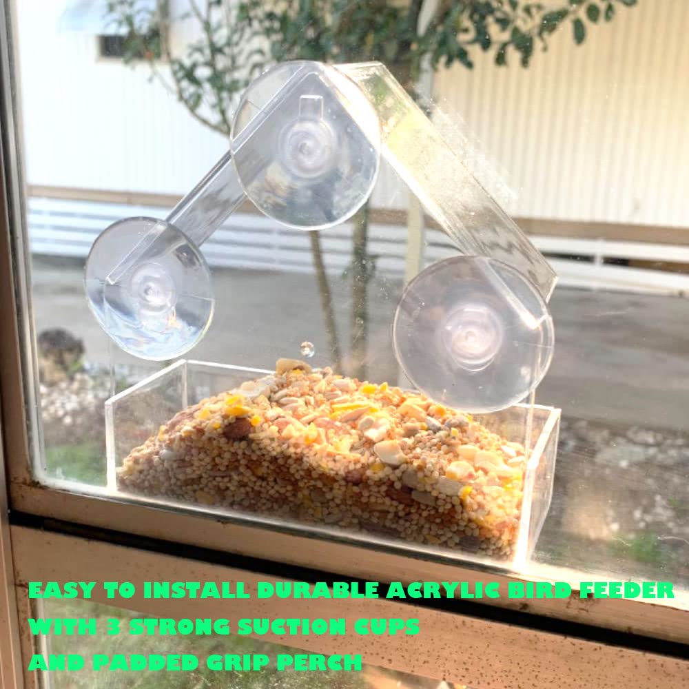 Forfuture-go cardinal and bluebird visits the feeder from indoors.