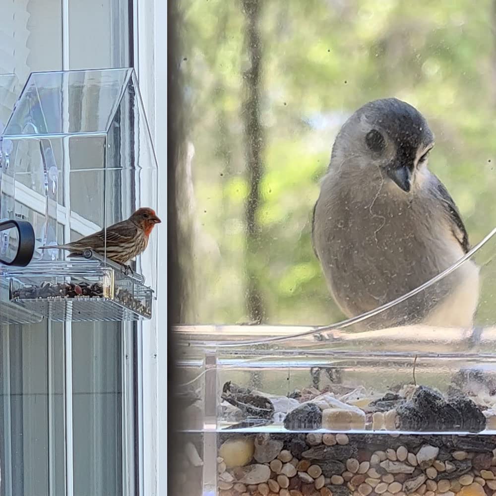 Forfuture-go strong suction cups prevent detachment from the window.