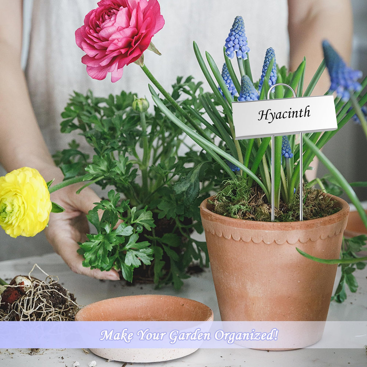 FORUP organize seed types dates and varieties across beds