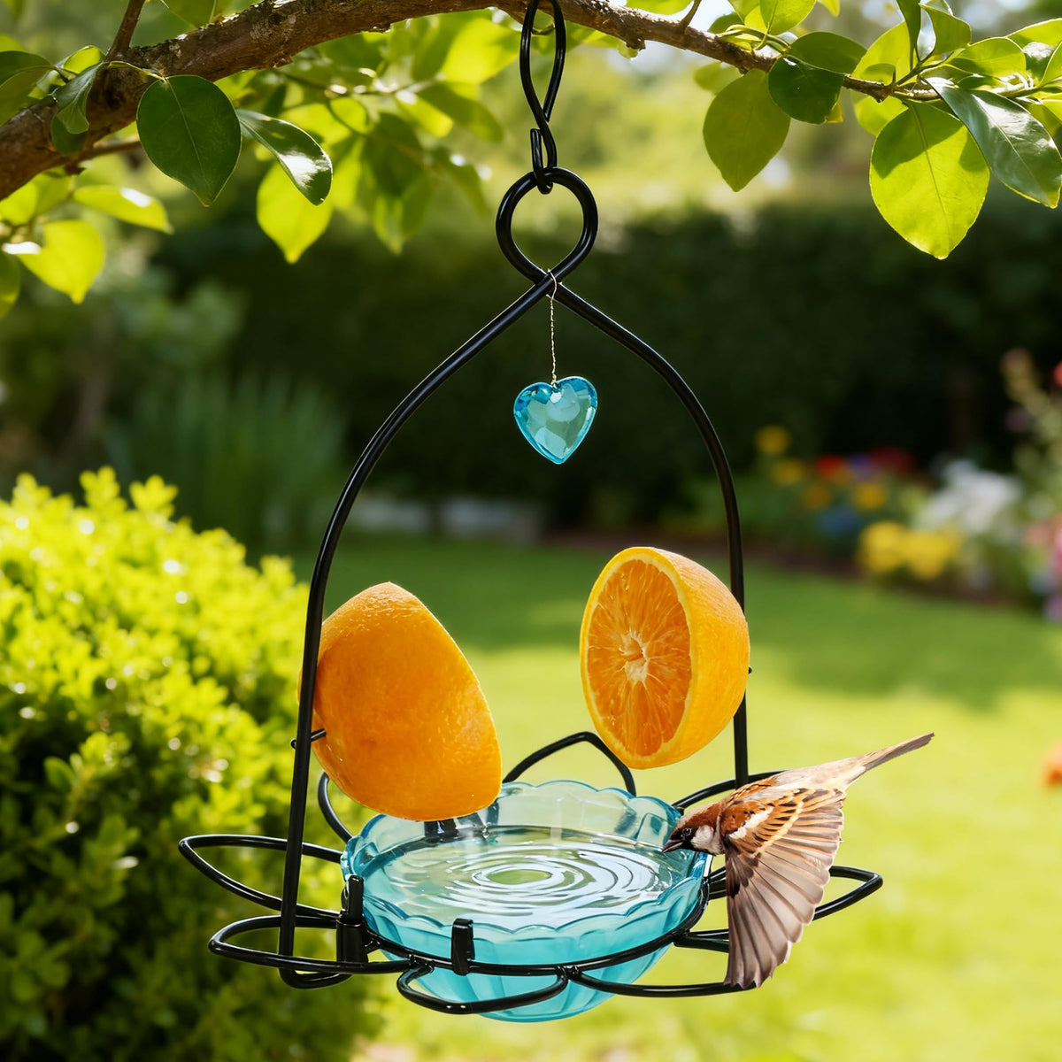 FORUP Oriole Bird Feeder dimensions 7.5 by 7.5 by 10.5 inches