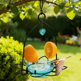 FORUP Oriole Bird Feeder dimensions 7.5 by 7.5 by 10.5 inches