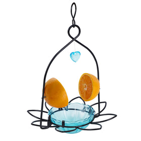 FORUP Oriole Bird Feeder orange-blue body attracts birds in the garden