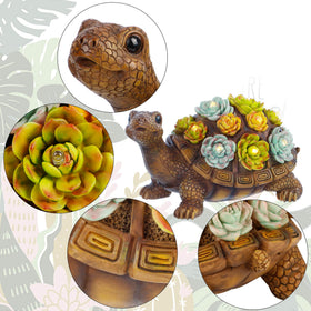 FORUP turtle statue shows three colored succulents