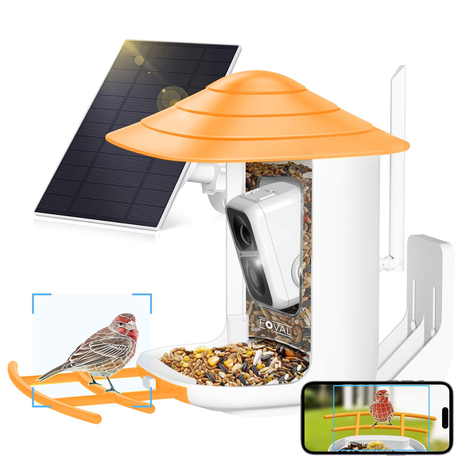 FOVAL Bird Feeder Camera front view showing outdoor solar setup for observation