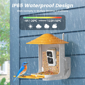 FOVAL Bird Feeder Camera motion detection with alerts and playback