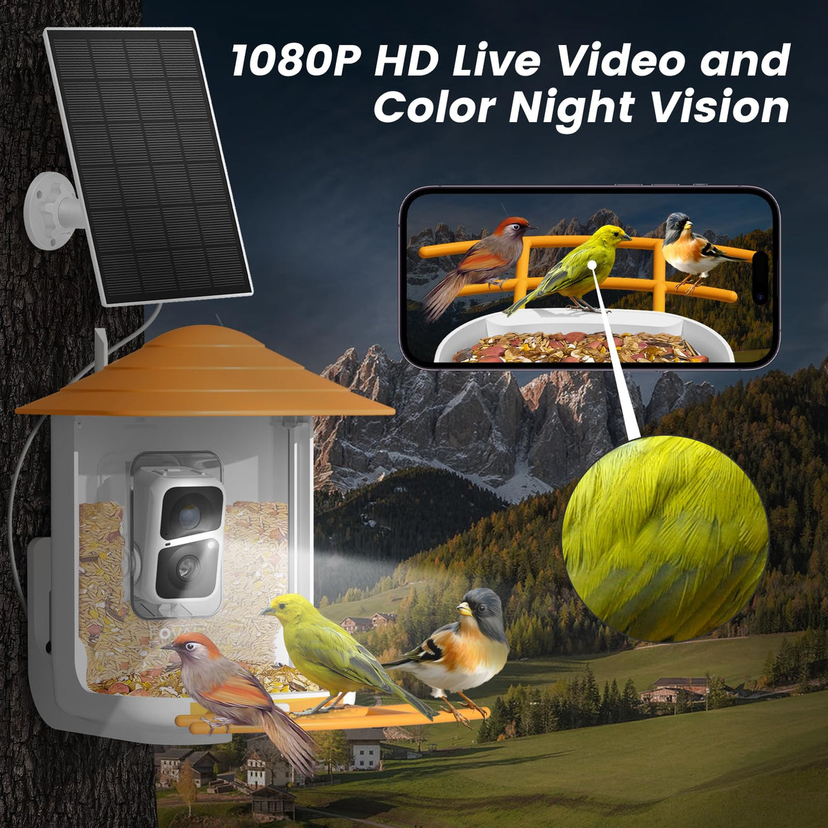 FOVAL Bird Feeder Camera night vision view capturing color details at dusk