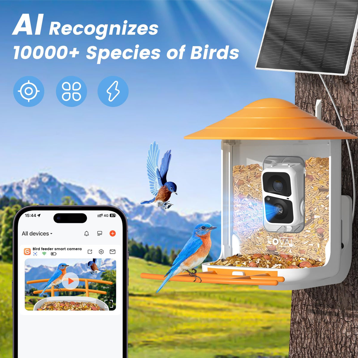 FOVAL Bird Feeder Camera side view highlighting weatherproof housing for year-round use