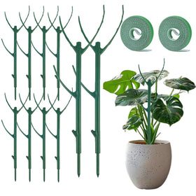 FOVGOTAN monstera stake assembly provides sturdy support for tall indoor plants.