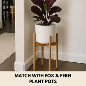 Fox & Fern mid-century style plant stand for modern home aesthetics.