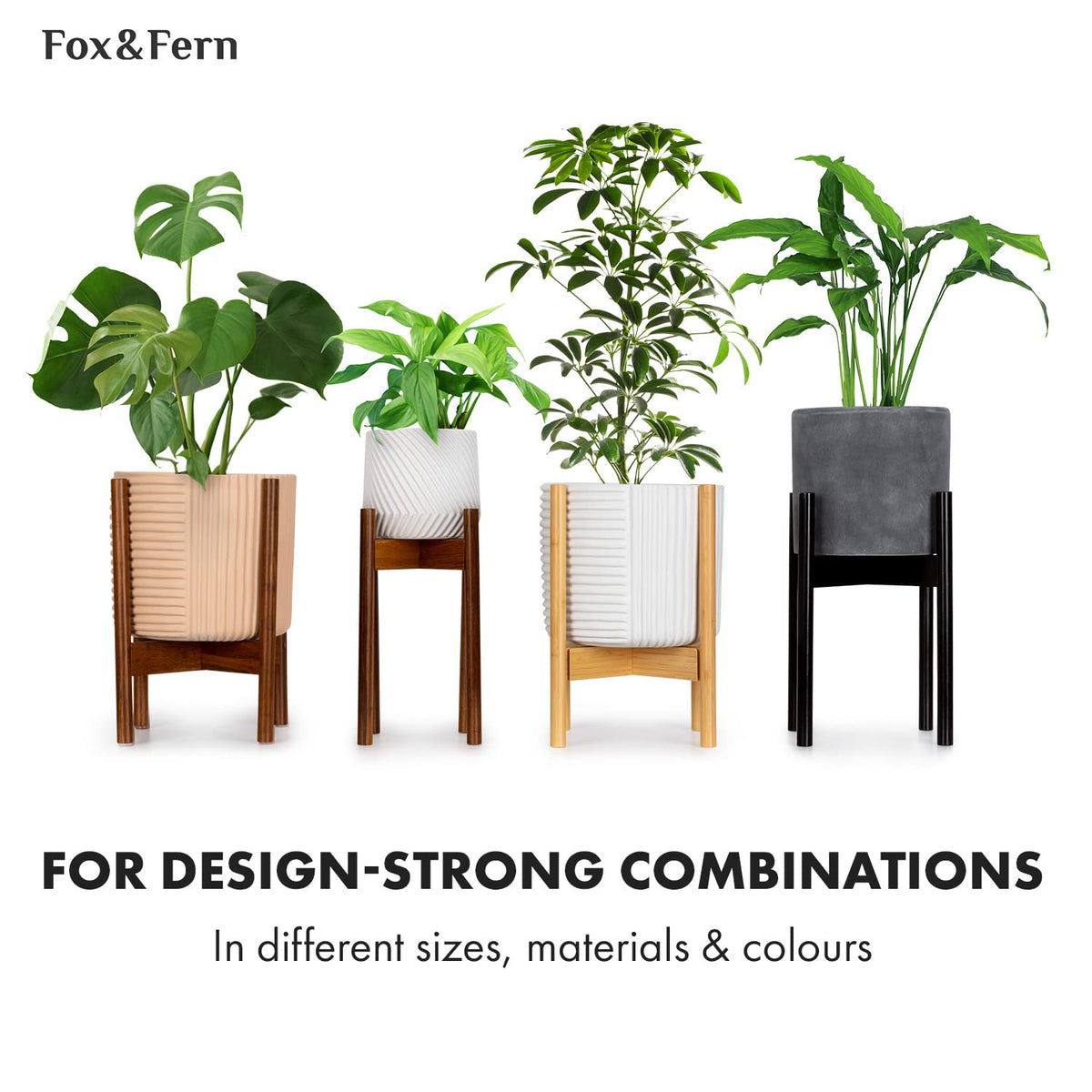 Fox & Fern indoor plant display on a sturdy bamboo stand.