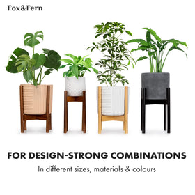 Fox & Fern indoor plant display on a sturdy bamboo stand.