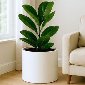 Fox & Fern fiberstone planter 14.6-inch outer diameter for large plants