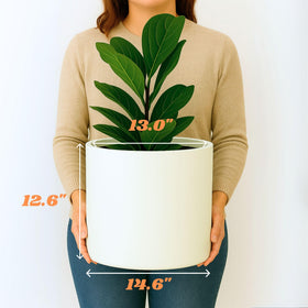 Fox & Fern indoor outdoor planter in matte white for versatile use