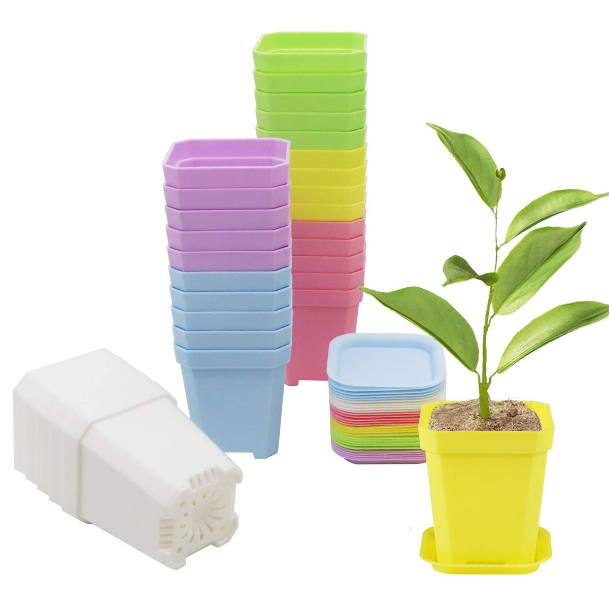 Foxany 3-inch square seed starting pot with saucer for indoor gardening.
