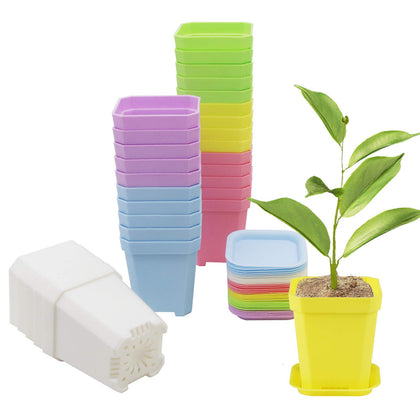 Foxany 3-inch square seed starting pot with saucer for indoor gardening.