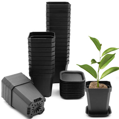 Foxany 3-inch square nursery pot in black for seed starting with drainage
